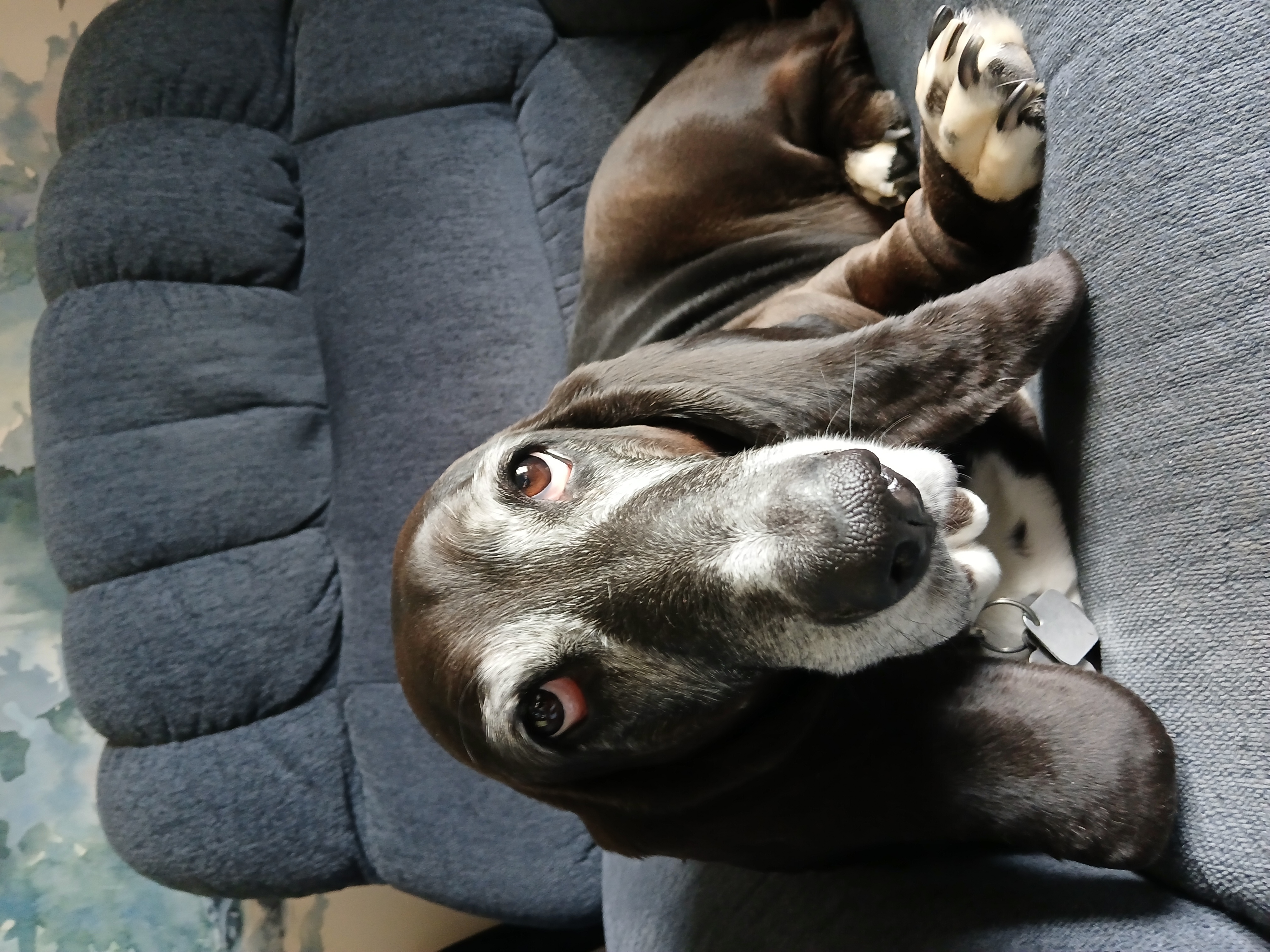 Betty sitting on a recliner